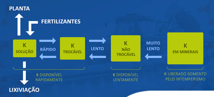 Lixiviação de nutrientes: por que o potássio possui o maior risco