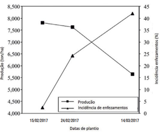 gráfico mostrando o efeito da data de plantio na incidência de enfezamento da cigarrinha-do-milho