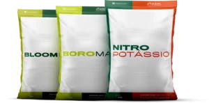 Nutrição Complementar
