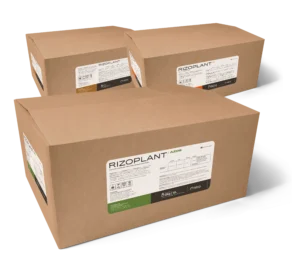 Rizoplant