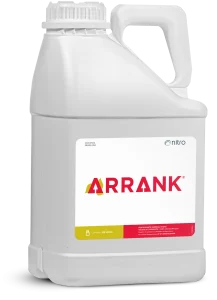 Arrank