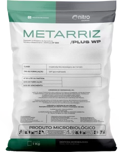 Metarriz