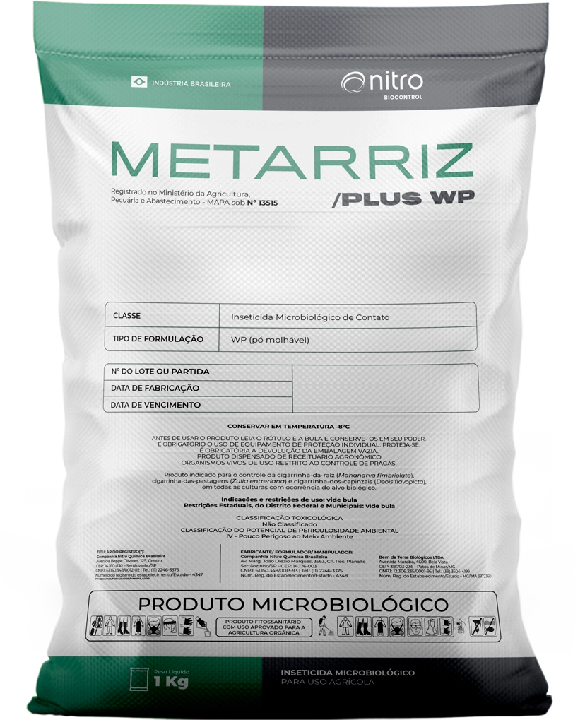 Metarriz