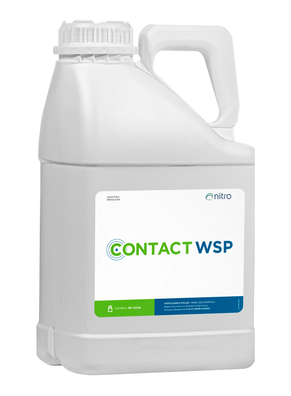 CONTACT WSP
