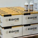 egide-1 - Copia (2)